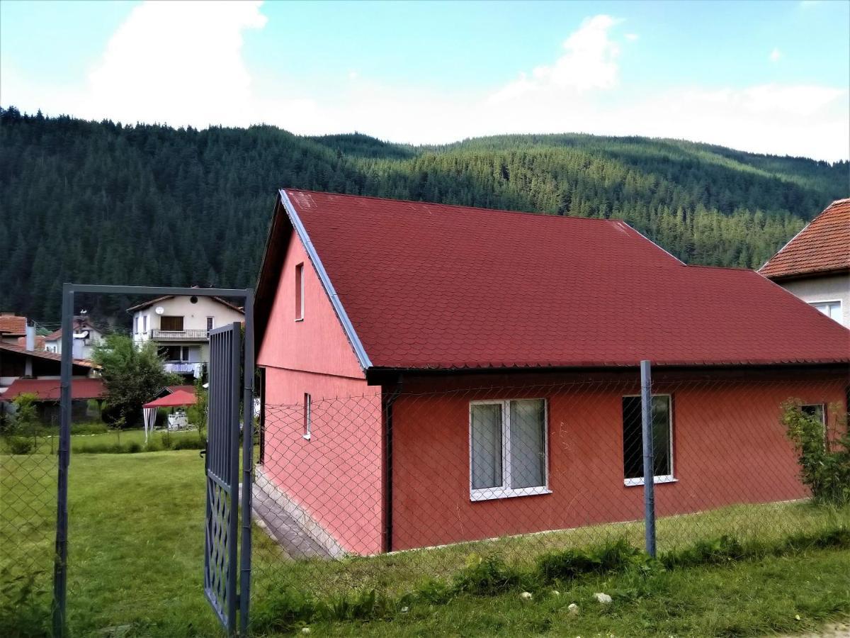 Villa Irina - Govedartsi Esterno foto